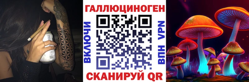 сколько стоит Анива Псилоцибиновые грибы мицелий